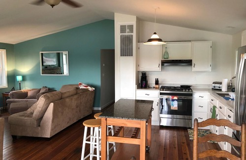 Unadilla Township House | Enjoy the lake life, beautiful beach and great for swimming