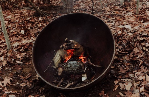 Fennville RV Rental | Enjoy the simplicity and elegance of a cozy bedroom in the woods.