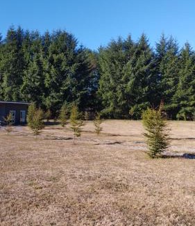Loncoche Apartment | Entre Ruta 5 Sur y Villarrica