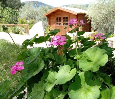 Cammarata House | Equiturismo San Lorenzo - Villa KAMARA