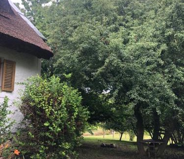Kezkkut House | Erdőszéli Parasztház Kékkút