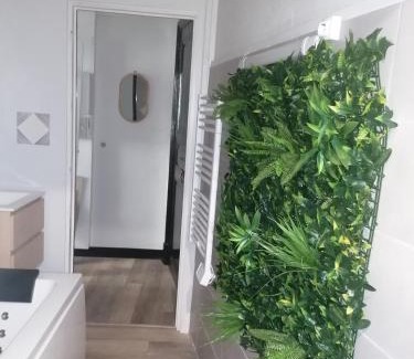 Tournon-sur-Rhone Apartment | Escale en Ardèche