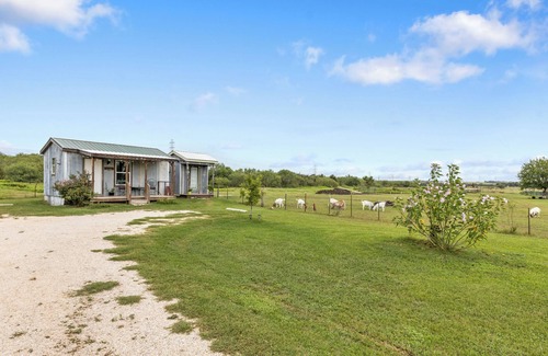 Prairie Lea Apartment | Escape to El Olivo – A Cozy Tiny Home Retreat