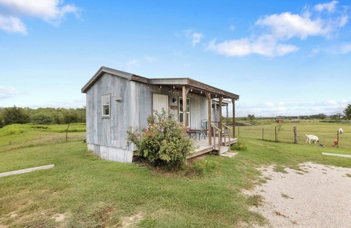 Prairie Lea Apartment | Escape to El Olivo – A Cozy Tiny Home Retreat