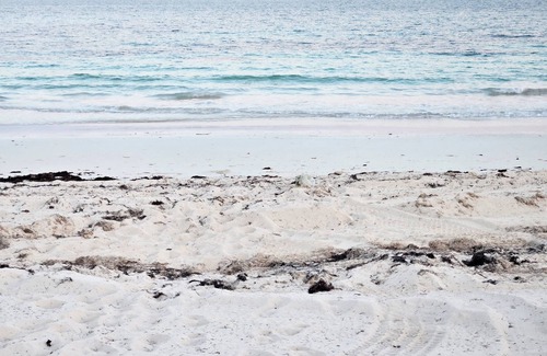 Lucaya Apartment | Escape to your perfect home away from home, nestled just across from the beach.