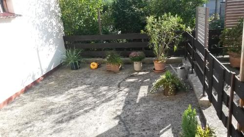 Ludwigshafen-Friesenheim Apartment | Eulennest-lu