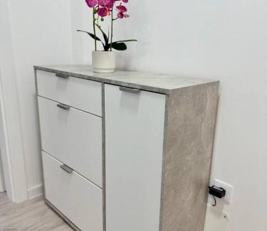 Saliste Apartment | Euphoria Apartment VRT