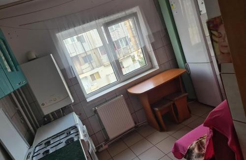Bacau Apartment | Eva's Home - Mall Q21