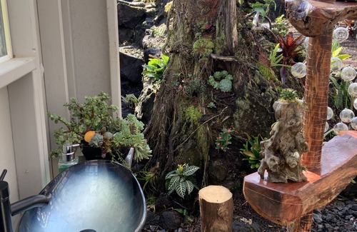 Eden Roc House | Exotic garden cottage at amazing volcanic fissure