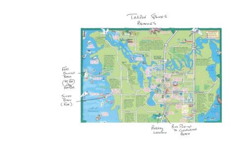 Tarpon Springs Villa | Experience Our Little Bit of Paradise Near Beaches