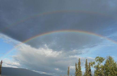 Healy Cabin | Experience True Alaska secluded Cabin just 15 minutes from Denali National Park.