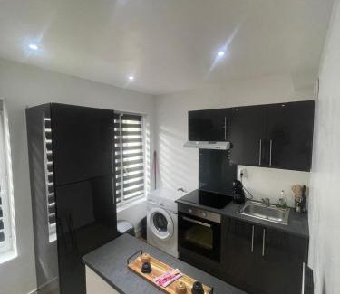 Saint-Jacques - Saint-Roch Apartment | F2 centre-ville Netflix, Disney plus