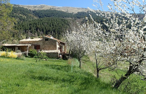 Castellet-les-Sausses House | "Factor" cottage in the area of Fa, perched on a hill