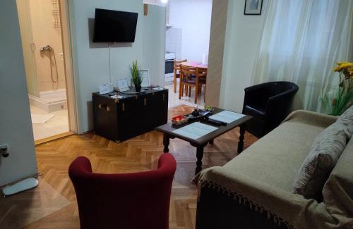 Zvezdara Apartment | Family dream