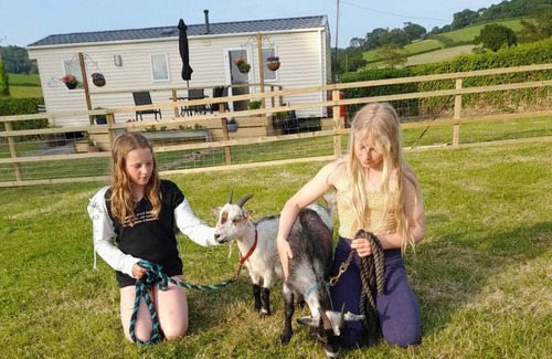 Combpyne House | Family farm, in beautiful Devon countryside, 4 miles from Lyme Regis.