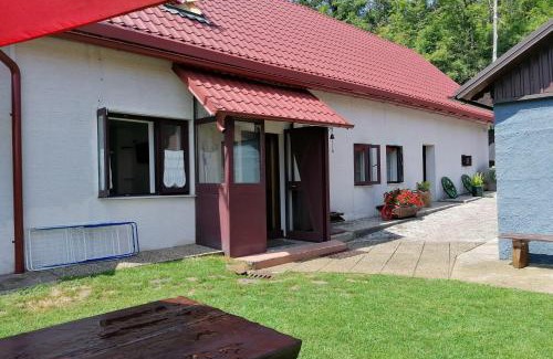 Lic Apartment | Family-friendly apartments with swimming pool Lic, Gorski kotar - 23685