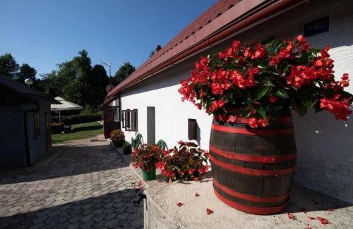 Lic Apartment | Family-friendly apartments with swimming pool Lic, Gorski kotar - 23685