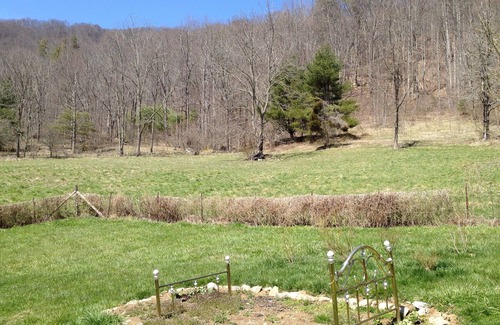Hot Springs Cabin | Family-Friendly, Cozy, Spacious Cabin Outside Of Hot Springs, NC - Road Open
