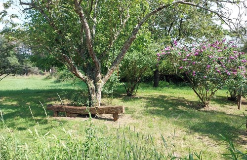 Pruniers-en-Sologne House | Family gîte in the countryside, near Beauval Zoo and the Loire castles!