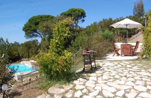 Alcobaca Villa | Family Villa with Pool and barbecue