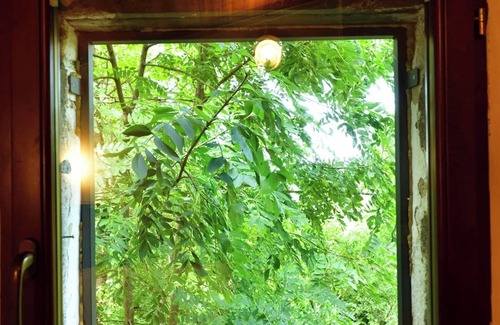 Castelli House | Fangorn - a house in the woods with creek, surrounded by nature.