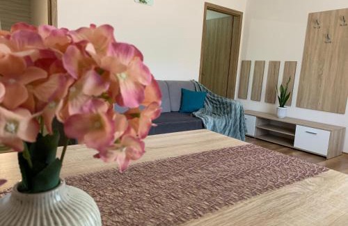 Tiszakecske Apartment | Fanni Villa Tiszakécske