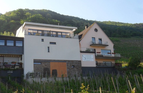 Senheim Apartment | Fantastic view of the Moselle valley, Moselle vacation at the Stefanie Vornhecke winery