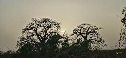 Toubakouta Bed & Breakfast | FARAFINA KEUR DAMEL Toubakouta