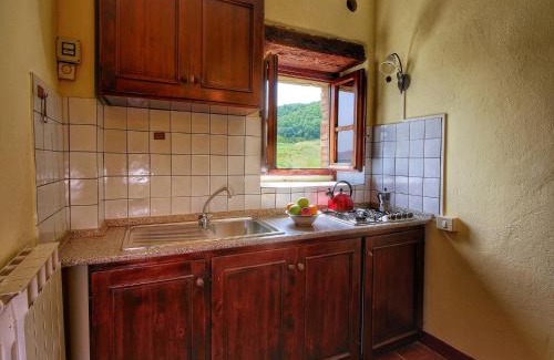 Monte Santa Maria Tiberina House | Farmhouse with stables, horses and the ability to make horseback riding