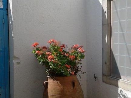 Choumeriakos House | Farmhouse in Limnes