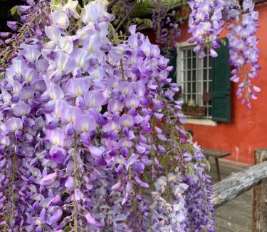 Samboseto House | Fattoria Amelia