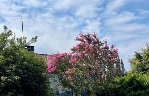 Bussiere-Badil Cottage | Faune (Vive le Vert)
