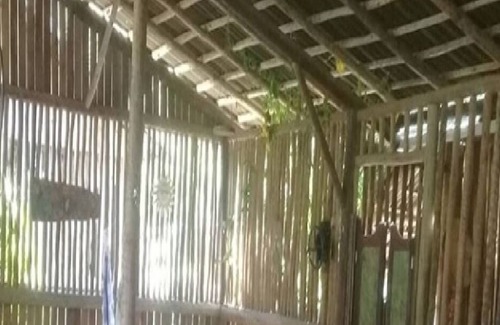 Sapucaia Cottage | Fazenda Boa Sorte Ample space for leisure for families and groups Viva o verde