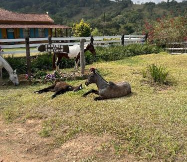 Ritapolis House | Fazenda do Engenho