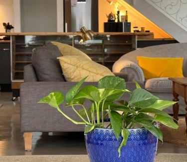 Grahamstown House | Featherstone View Cottage