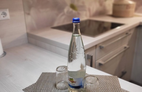 Enzklosterle Apartment | Feel-good oasis in the Black Forest with panoramic views
