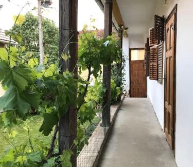 Feked House | Feked Farmstay