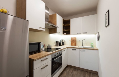 Ljubljana City Centre Apartment | Felix Tour As/Attractive, stylish renovated 2BR apartment, free WiFi and AC