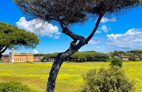 Lavinio Lido di Enea Apartment | FELYX APARTMENT - Bright, Spacious, and 100 mt from the waves - Lavinio Mare