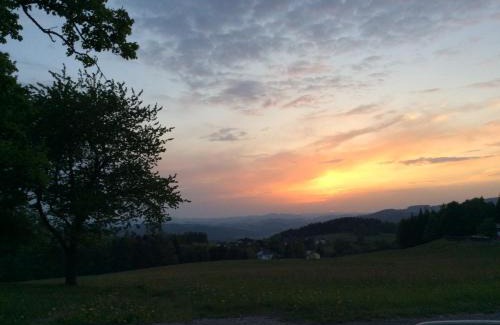 Vorderweißenbach House | Ferienbauernhof Koller (Familie Hofer) - Urlaub am Bauernhof