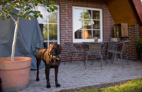 Zetel House | Ferienhaus Eva
