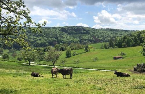 Modautal Apartment | Ferienhaus im Odenwald