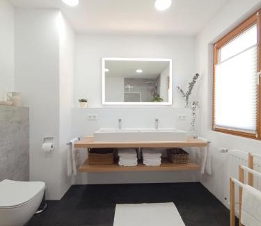 Sigmaringen Villa | Ferienhaus Sigmaringen mit Garten & Garage