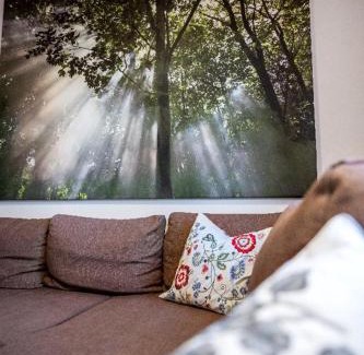 Haus im Wald House | Ferienhaus Waldhaus
