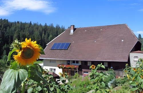 Schramberg Apartment | Ferienhof Bühler