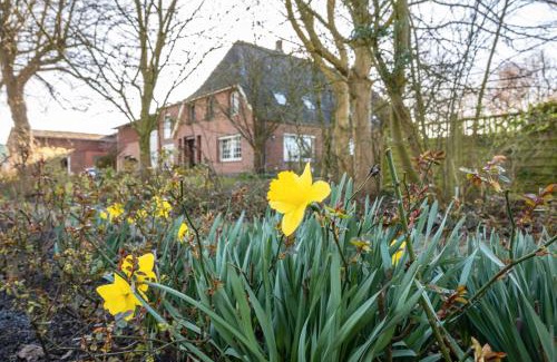 Schulp House | Ferienhof Friccius