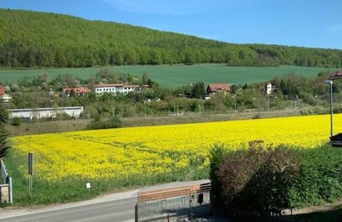Obermaßfeld-Grimmenthal Apartment | Ferienwohnung Werratal