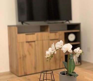 Sankt Johann in Tirol Apartment | Ferienwohnungen Pletzenauer