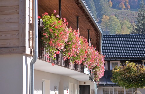 St. Blasien Apartment | Ferienwohnung 9 Spiesshorn, 32qm, 1 Wohn-/Schlafzimmer, max. 2 Personen