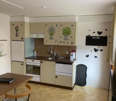 Saas-Fee Apartment | Ferienwohnung Allalinblick